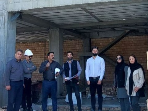  کمیته نظارت مضاعف